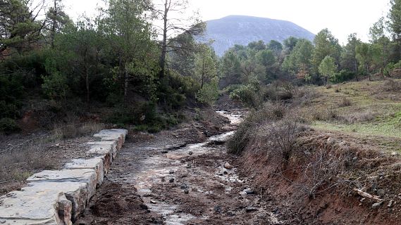 La complexa retirada de les tones de runam de sal de Cogull�