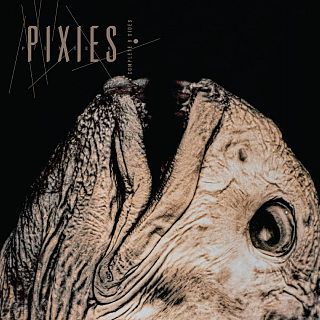 La cara oculta de los Pixies