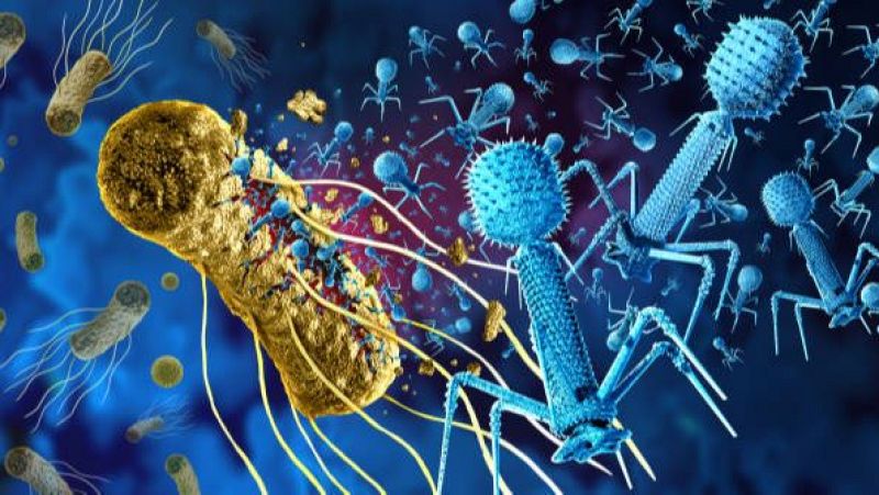 El laboratorio de JAL - Nuevos avances en fagoterapia - 08/09/26 - Escuchar ahora