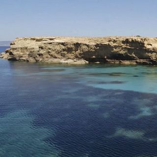 RUGOREEF y MARFAN: proyectos para proteger hábitats críticos