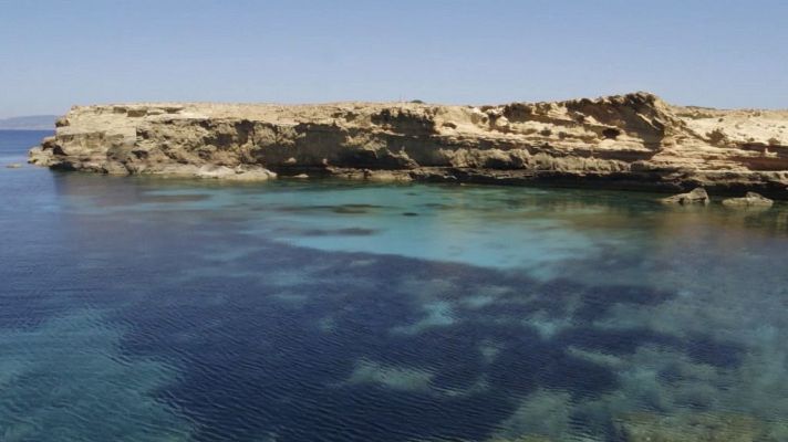 RUGOREEF y MARFAN: proyectos para proteger hábitats críticos