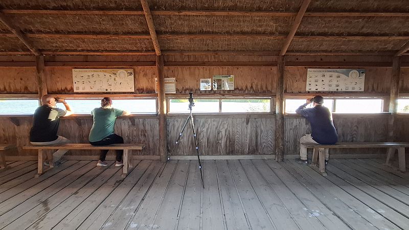 10.000 Lugares para viajar con Ángela Gonzalo - Doñana, un río de aves - 06/09/26 - Escuchar ahora