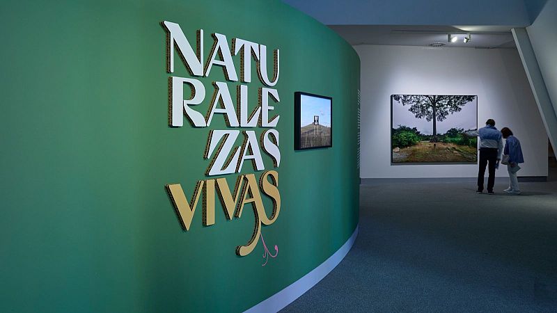 'Naturalezas Vivas', arte en la 1ª Bienal Climática de Avilés