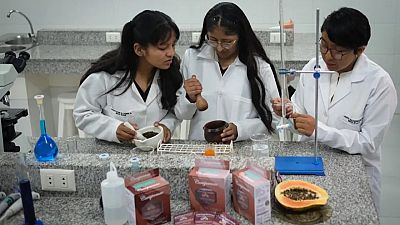 Jóvenes investigadoras en un laboratorio de la UNAP, una muele, otra prepara el mortero y la tercera usa una bureta. Cajas de "Camu Camu" y media papaya en primer plano.