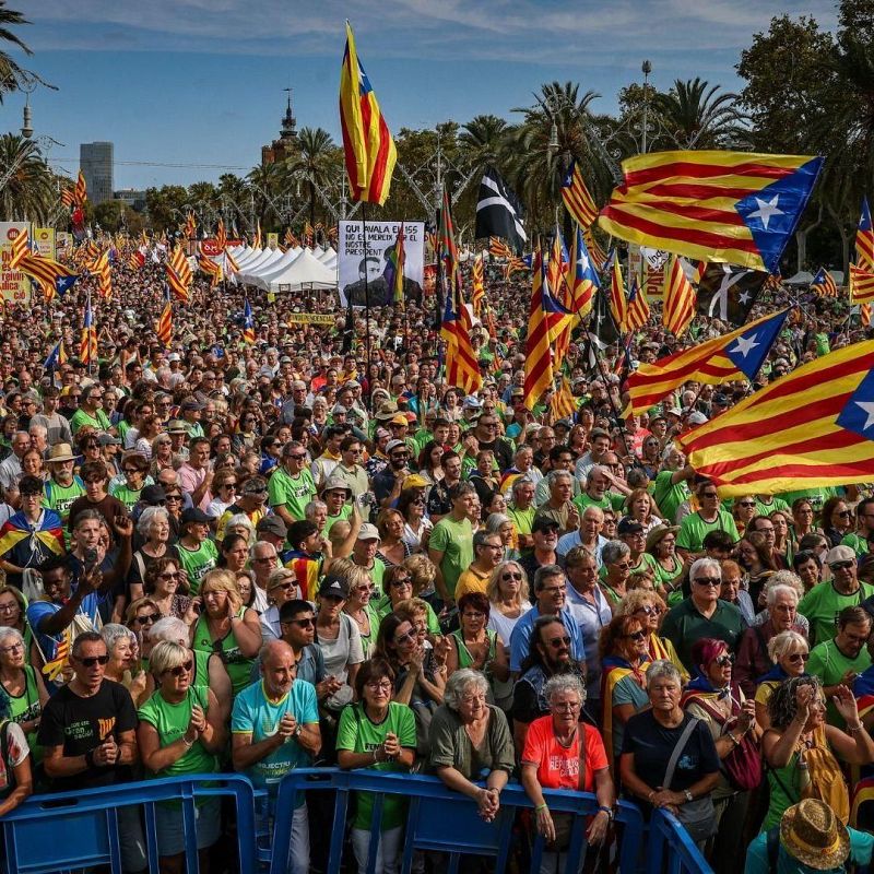 Territori reforça el transport públic per la Diada | ROSA QUITLLET