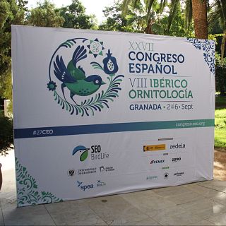 Congreso Español de Ornitología de SEO/Birdlife en Granada