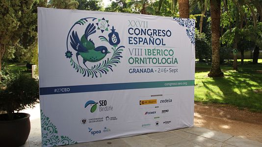 Congreso Español de Ornitología de SEO/Birdlife en Granada