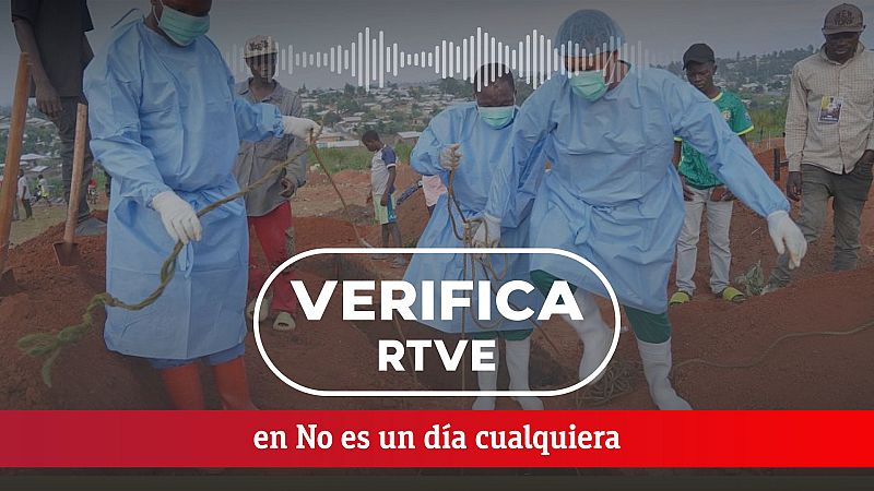 VerificaRTVE: Bulos sobre ONG y recortes en cooperaci�n - No es un d�a cualquiera