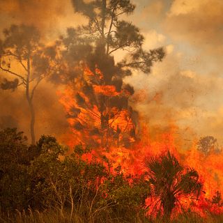 Incendis: estem preparats per als focs que venen?