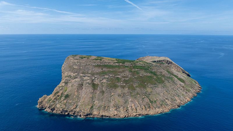 Planeta vivo - La extinción de las islas - 16/09/26 - Escuchar ahora