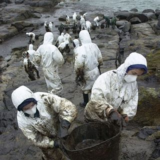 POLEX: aprender a actuar frente a desastres de contaminación