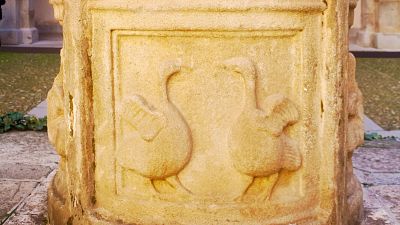 Aves en el paraíso