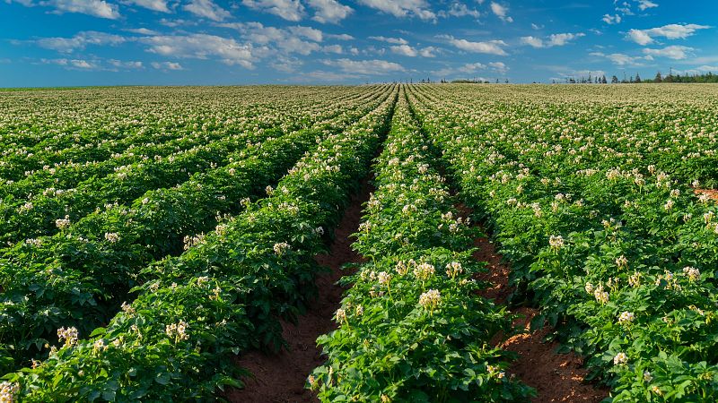 Mundo rural - Propuestas para cambiar el reparto de las ayudas agrarias - 16/09/26