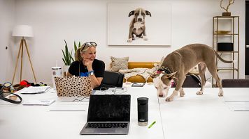 Tornar a la rutina tamb� �s complicat pels animals de companyia