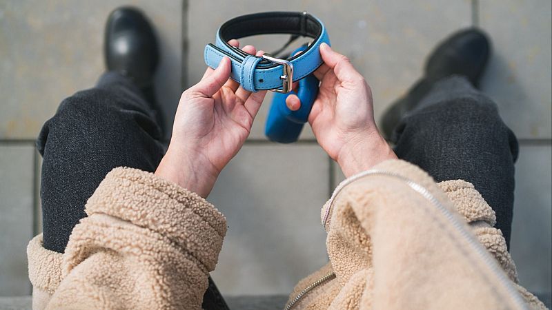 Manos sostienen collar y correa de perro azul. Persona con chaqueta beige y pantalones grises sobre suelo de baldosas grises.