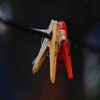 Canciones tímidas que persisten