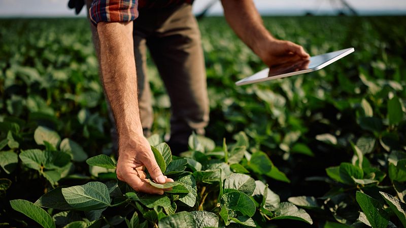 Mundo rural - Propuestas para cambiar el reparto de las ayudas agrarias - 16/09/26