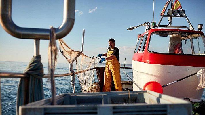 Barco pesquero español en el Mediterráneo con banderas de España y Cataluña. Un pescador con traje amarillo manipula una red. Cielo azul y mar en calma.