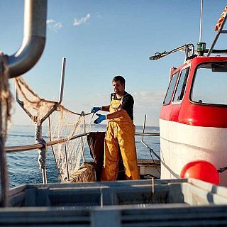El sector reclama recuperar la pesca con "palangre-bola"