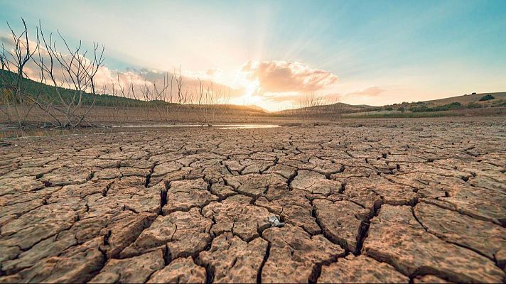 Paisaje africano árido con suelo agrietado, árboles sin hojas y un charco bajo un cielo crepuscular anaranjado y azul, indicando sequía extrema.