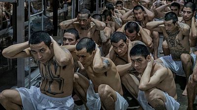 Decenas de hombres tatuados y con el torso desnudo, vestidos con pantalones cortos blancos, están agachados en un interior con literas al fondo, sugiriendo un entorno carcelario.