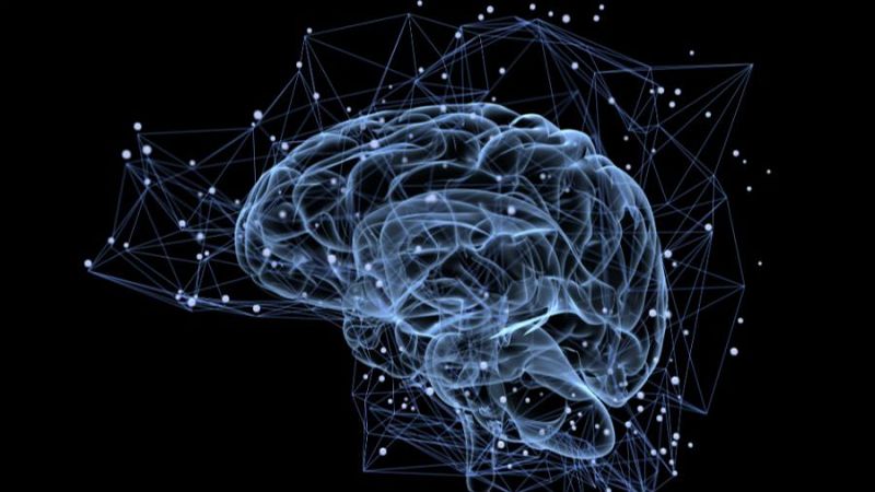 Pantalles, son, lectura i videojocs: com estem transformant el cervell? - La tarda de R�dio 4