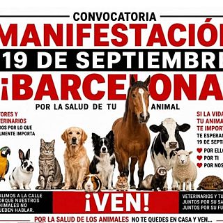 Són 4 dies- A l'espai de Paula Calvo hem abordat la crisi del sector veterinari