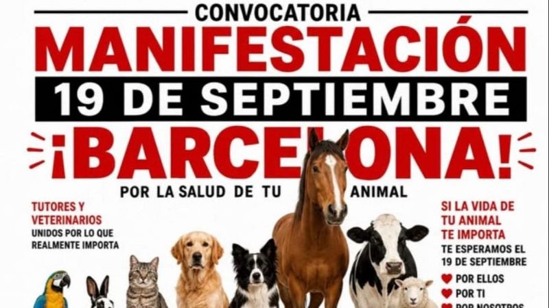 S�n 4 dies- A l'espai de Paula Calvo hem abordat la crisi del sector veterinari - S�n 4 dies
