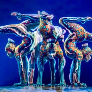 Són 4 dies- "Kurios. Gabinet de curiositats", el nou espectacle del Circ de Soleil