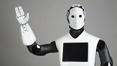 El impulso a la industria de la robótica humanoide en España