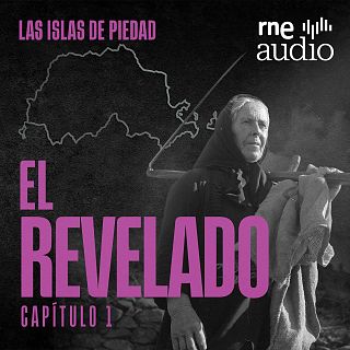 El revelado