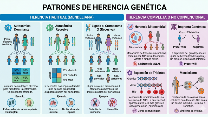 En primera persona - Enfermedades raras - 27/09/26 - Escuchar ahora