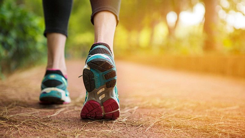 Piernas y zapatillas deportivas en movimiento por un sendero natural bajo una luz c�lida.