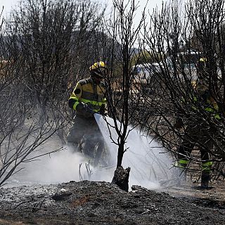 Zaragoza - Reflexiones post-incendios