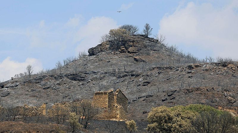 Reportajes Emisoras - Zaragoza - Reflexiones post-incendios - 30/09/26
