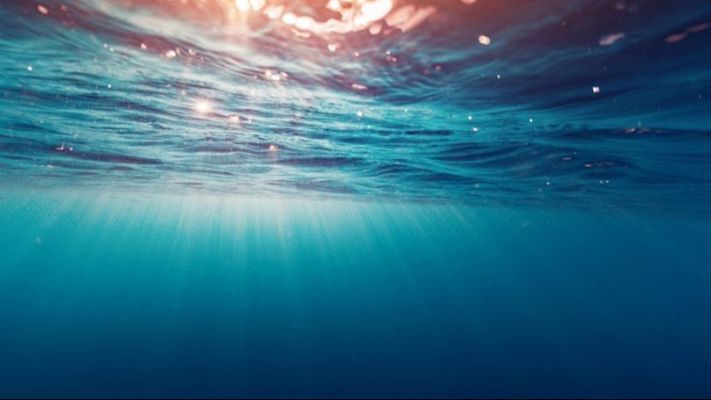 El estudio de Copernicus alerta sobre la temperatura del mar