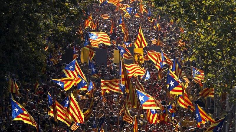 Vista a�rea de una multitudinaria manifestaci�n en una avenida arbolada, donde los asistentes ondean numerosas banderas estelades catalanas.