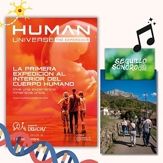 Travesía por el cuerpo humano y rutas sonoras