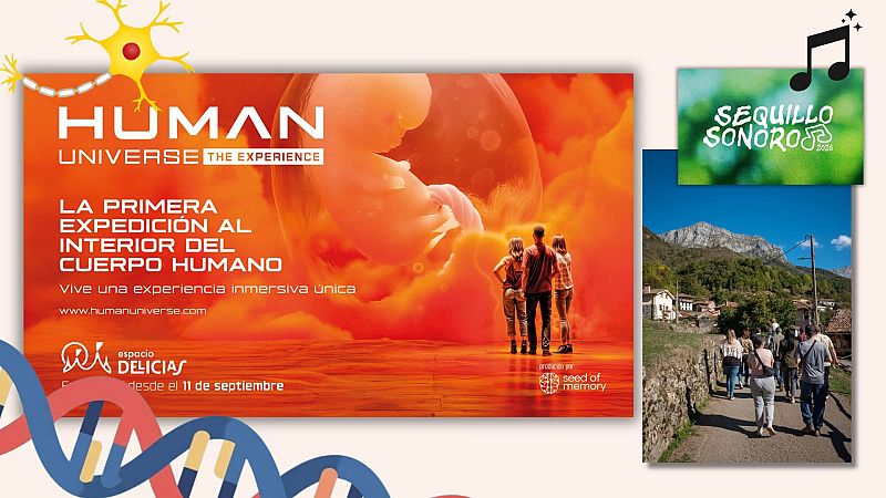 Menudo planazo en Radio 5 - Travesía por el cuerpo humano y rutas sonoras - 03/10/26
