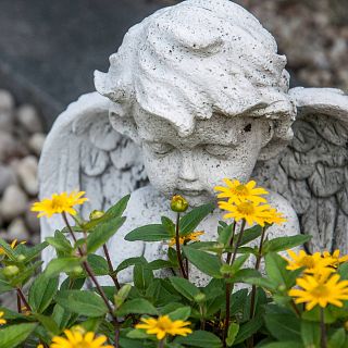 �A qu� huele la muerte?