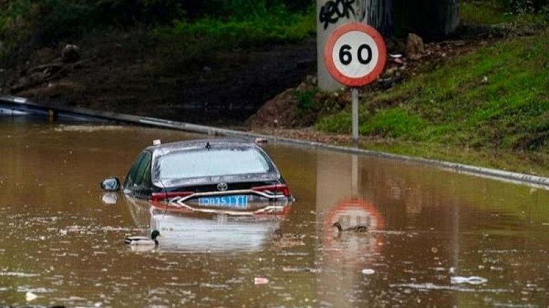 Coche oscuro parcialmente sumergido en una carretera inundada por agua marr�n, con patos nadando en primer plano.