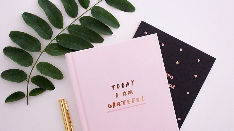 Plano cenital minimalista de una libreta rosa pastel con texto dorado, acompa�ada de una rama verde y un bol�grafo sobre fondo blanco.