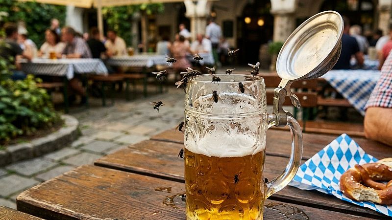 Historia y ciencia por un tubo - ¿Por qué las tapas de las jarras de cervezas alemanas tienen tapa? - 12/10/26