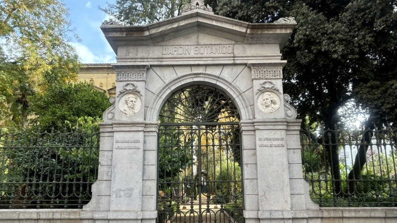 Paisajes y jardines - Real Jardín Botánico de Madrid - 11/10/26