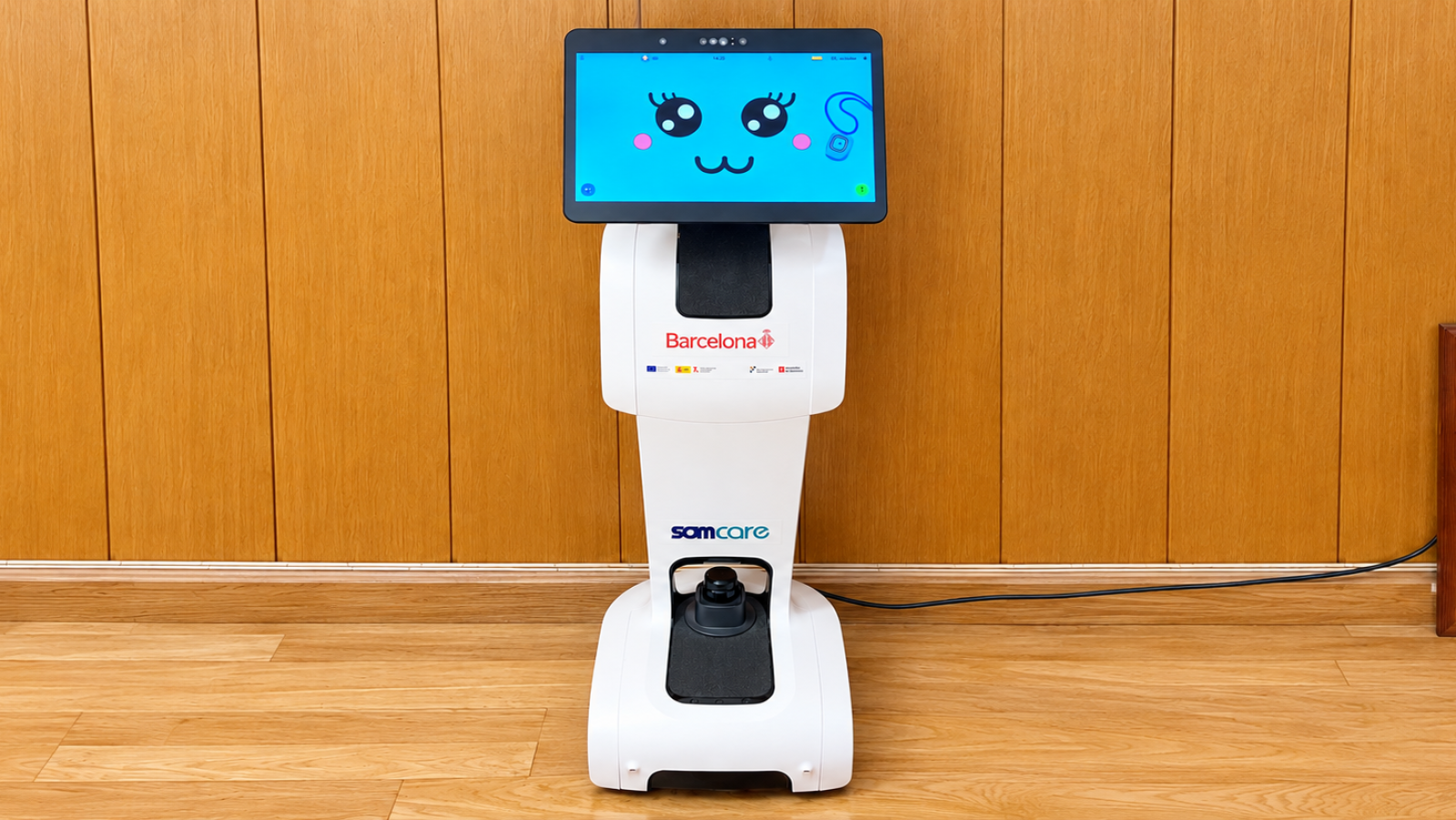 Aix� s�n els robots que acompanyen persones grans que viuen soles