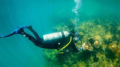 'Dive Reporter': ciencia ciudadana para cuidar de los mares