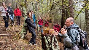 El Parc Nacional d'Aig�estortes t� el millor bosc madur d'Espanya