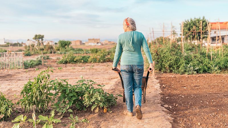 Mundo rural - Día internacional de las mujeres rurales - 14/10/26