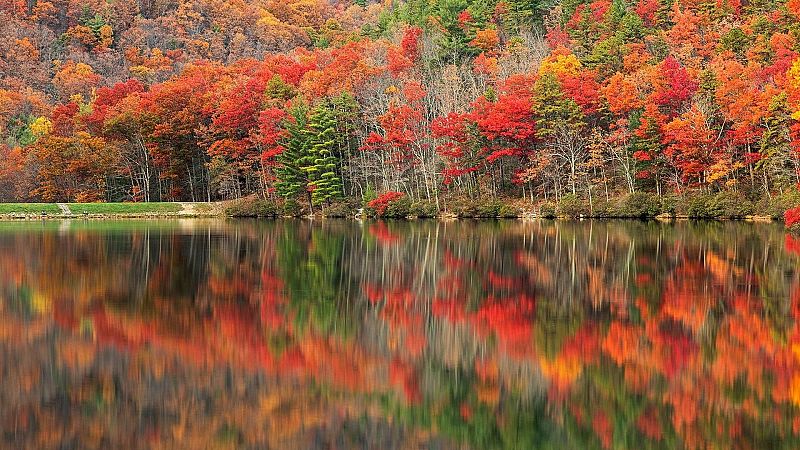 Paisaje oto�al junto a un lago en calma con un denso bosque de vibrantes colores reflejado en el agua, creando un efecto visual similar al de una pintura.