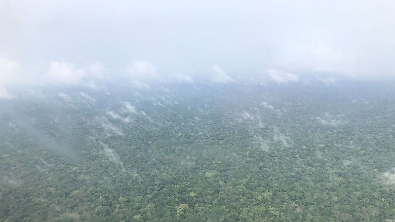 Vista aérea de una densa selva tropical verde con columnas de vapor ascendiendo hacia un cielo cubierto de nubes bajas y bruma.
